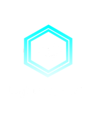 Cyberspace partenaire